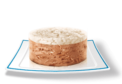 piatto-tonno-e-riso-giusto