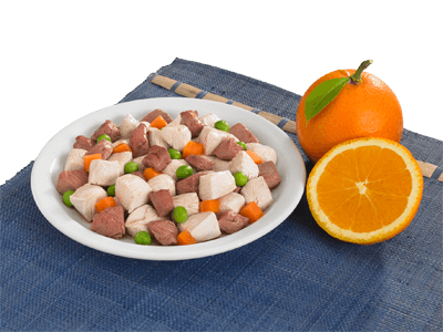 lifedog-ricette-piatto-anatra-con-pollo-in-salsa-allarancia