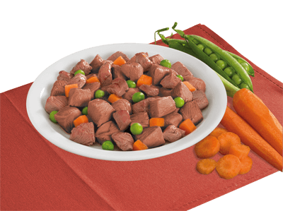 lifedog-ricette-piatto-bocconcini-di-manzo-con-verdure