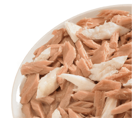 tonno-e-pesce-bianco