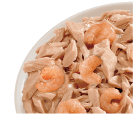 tonnocongamberetti- كثافة العمليات