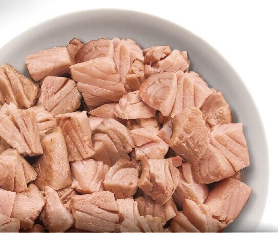 tranci di tonno 90 gr