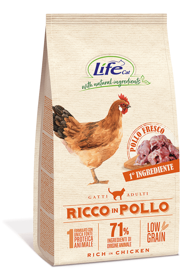 ricco in pollo
