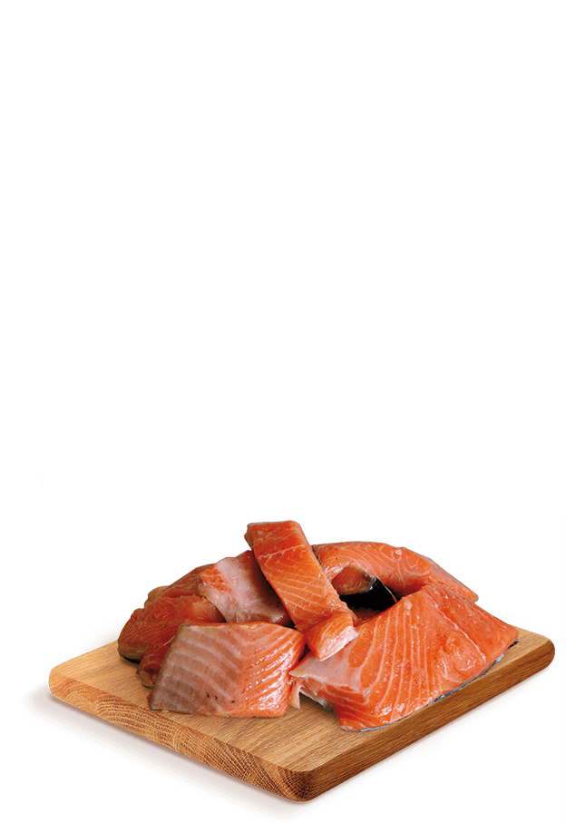 salmone