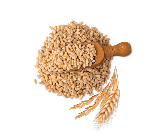 cereali