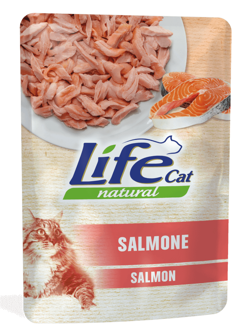 BUSTA SALMONE