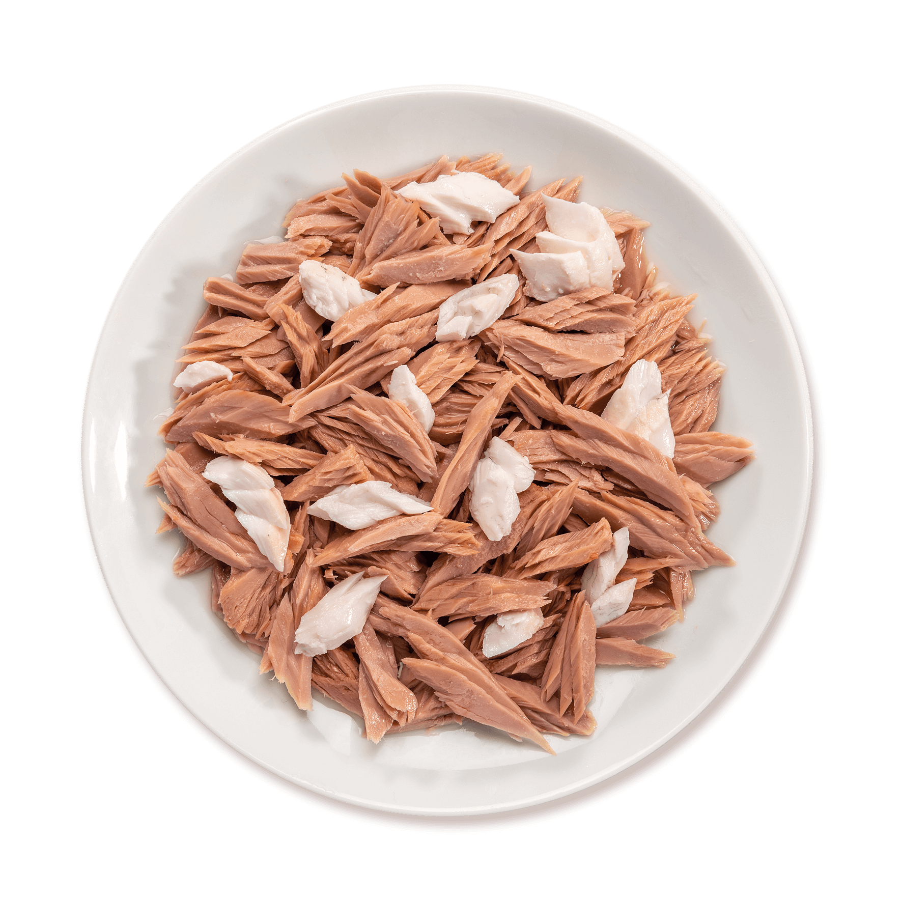 piatto tonnetto con pesce bianco