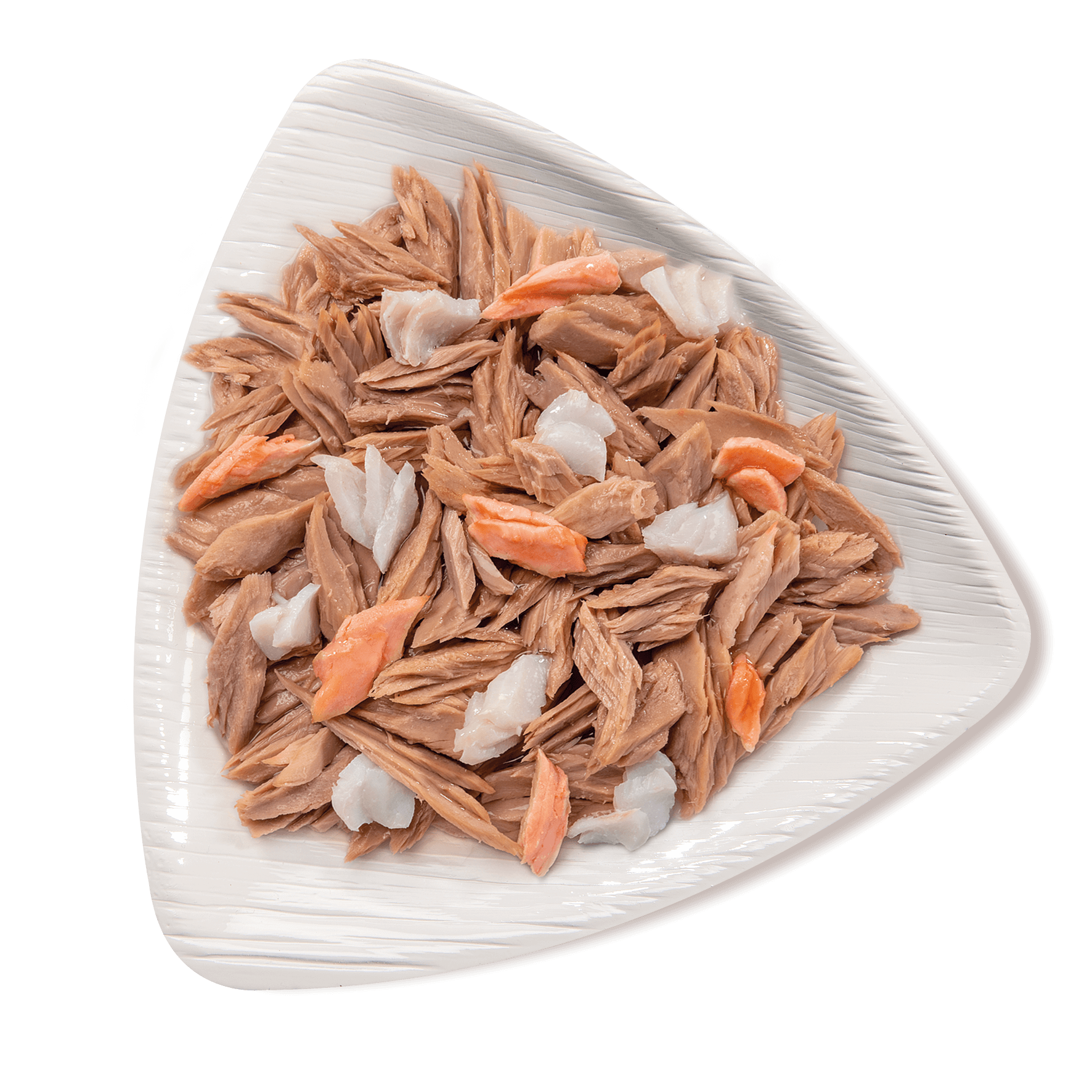 piatto tonnetto salmone e merluzzo