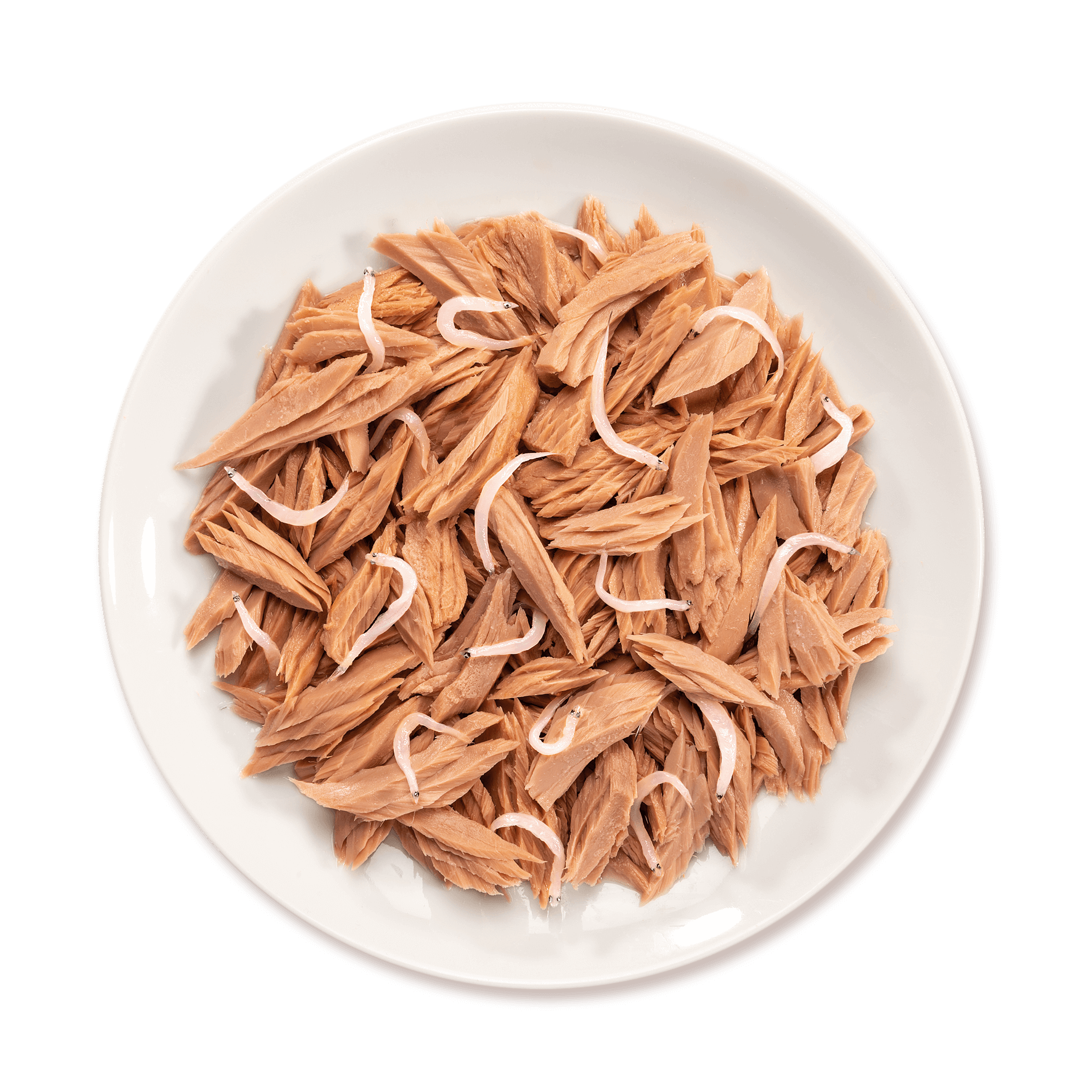 piatto tonno con alicette