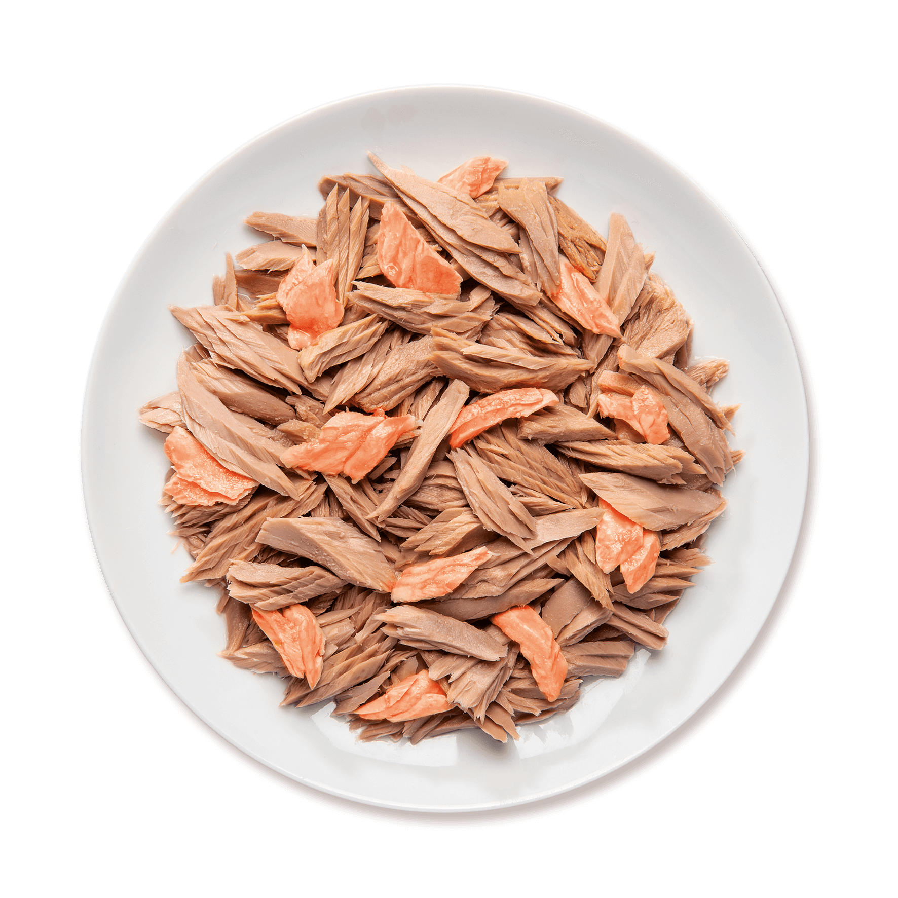 piatto tonno con salmone