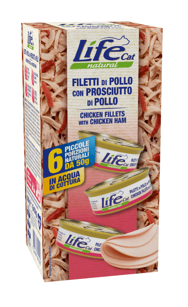 ASTUCCIO FILETTIdiPOLLOconPROSCIUTTOdiPOLLO