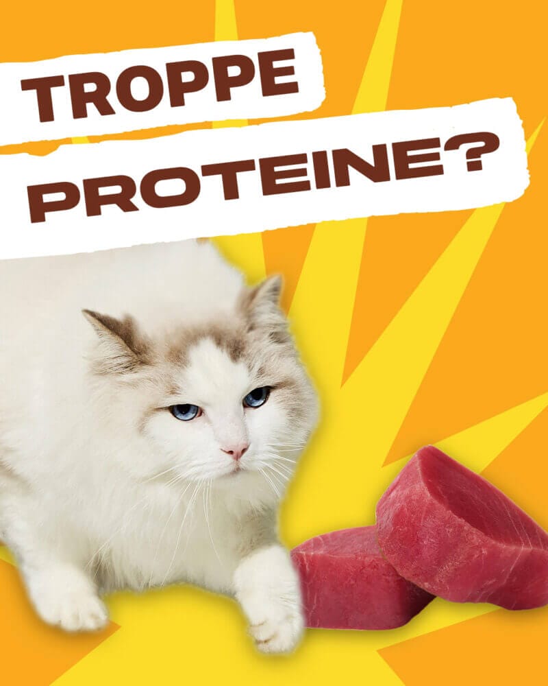 FAKE NEWS Is changing protein bad for my pet? Life Natural