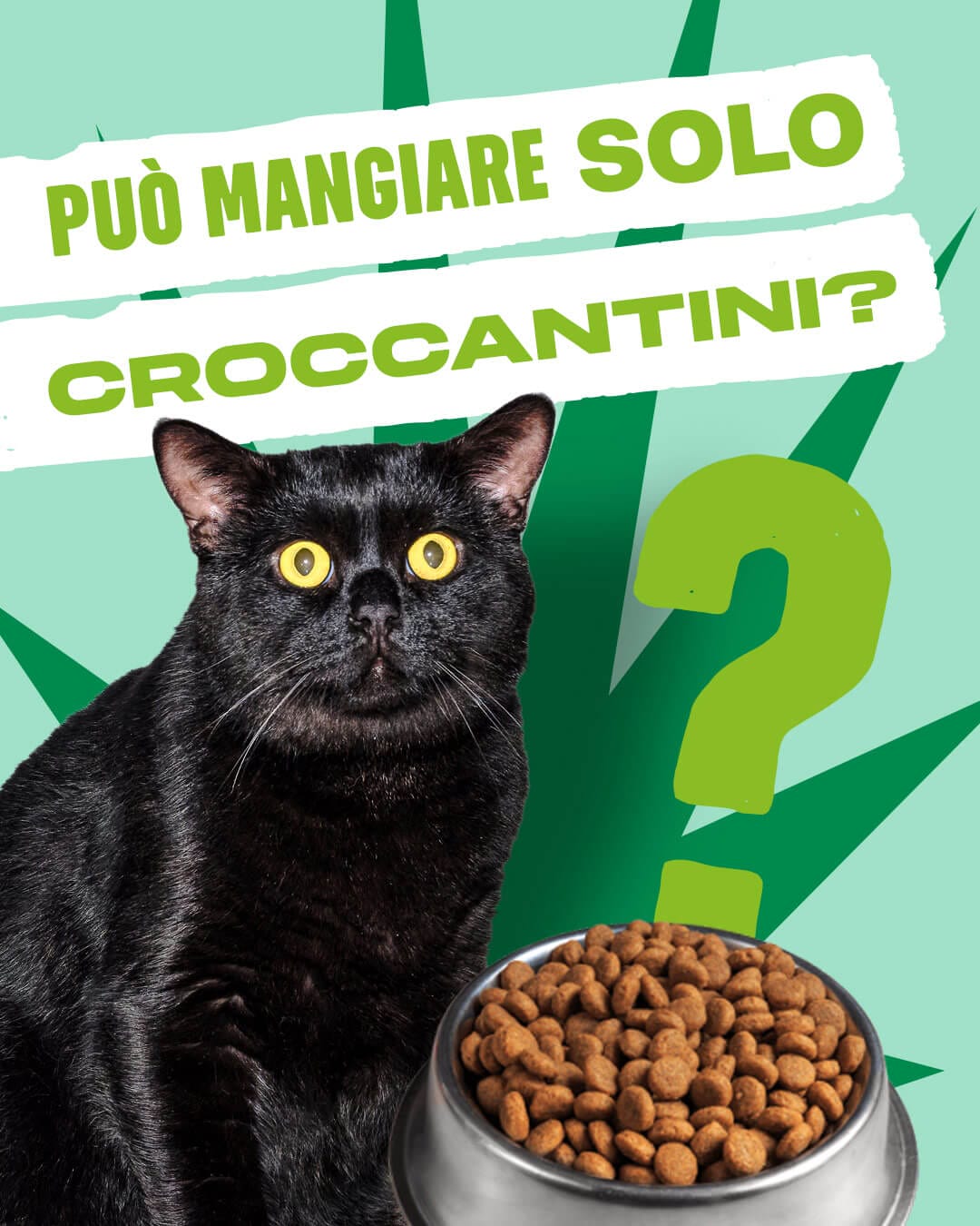 Fake news Life Natural