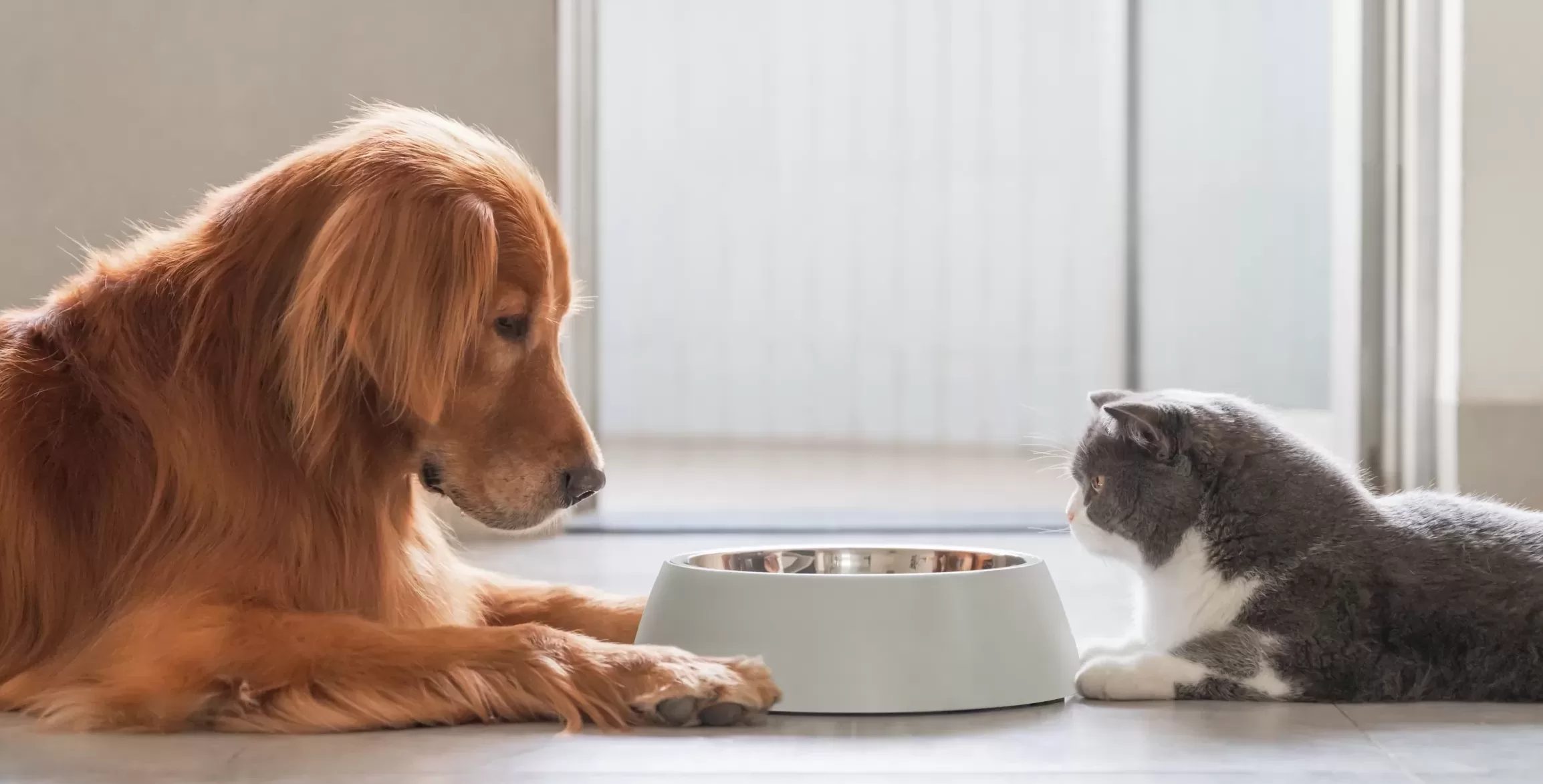 MIX FEEDING. WE COMBINE THE ADVANTAGES OF DRY AND WET FOODS FOR DOGS AND CATS Life Natural