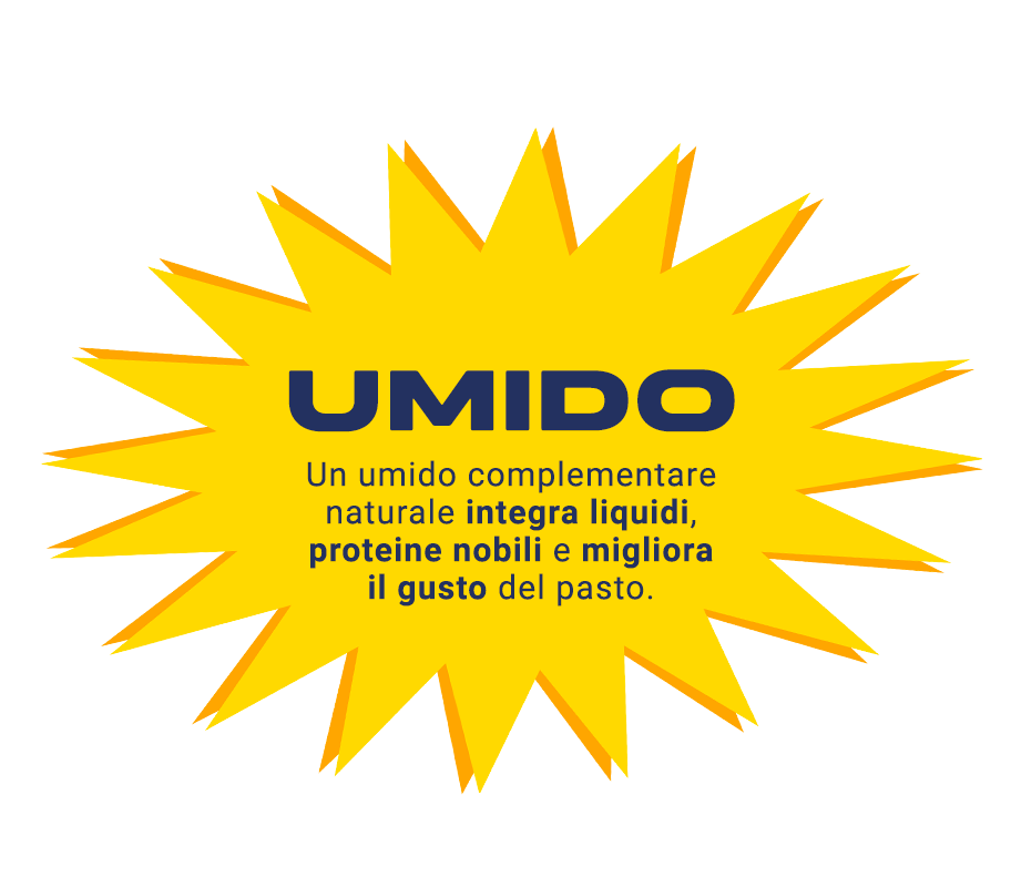 umido