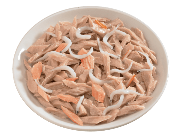 PIATTO TONNO ALICETTE SALMONE