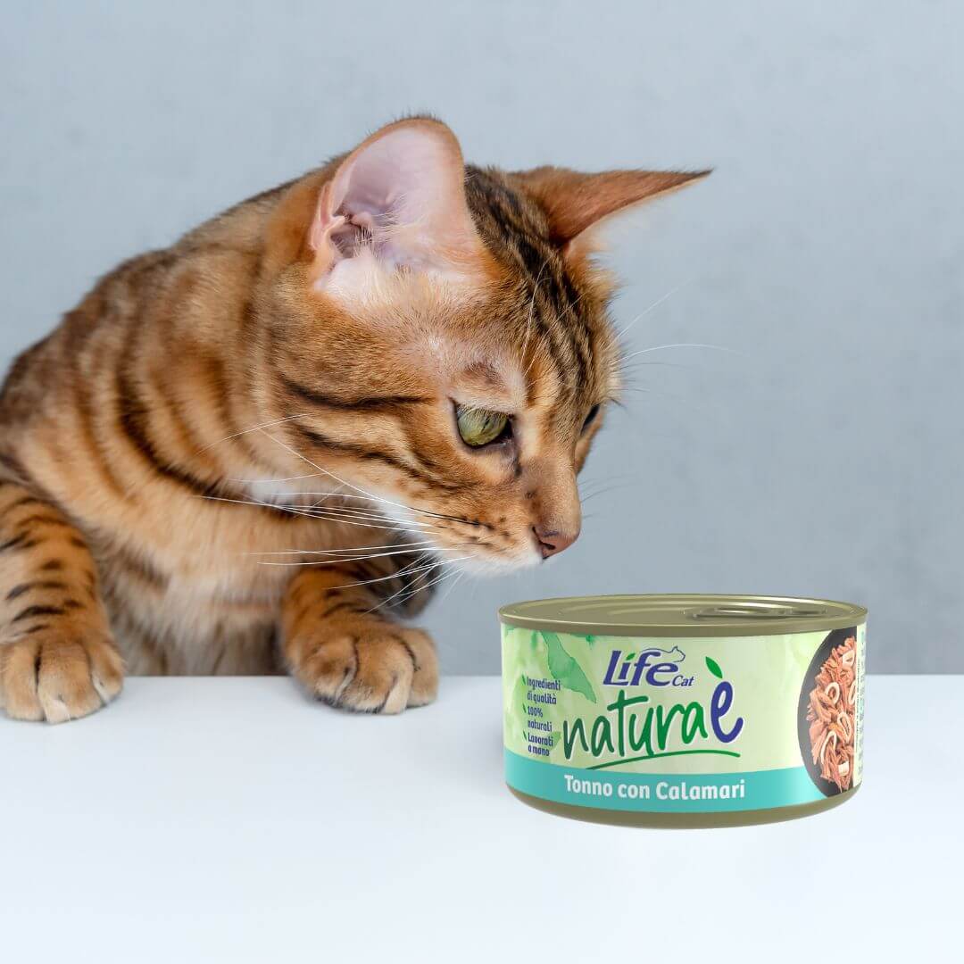 Untitled design (33)