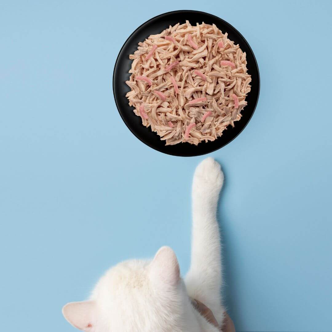 Untitled design (35)