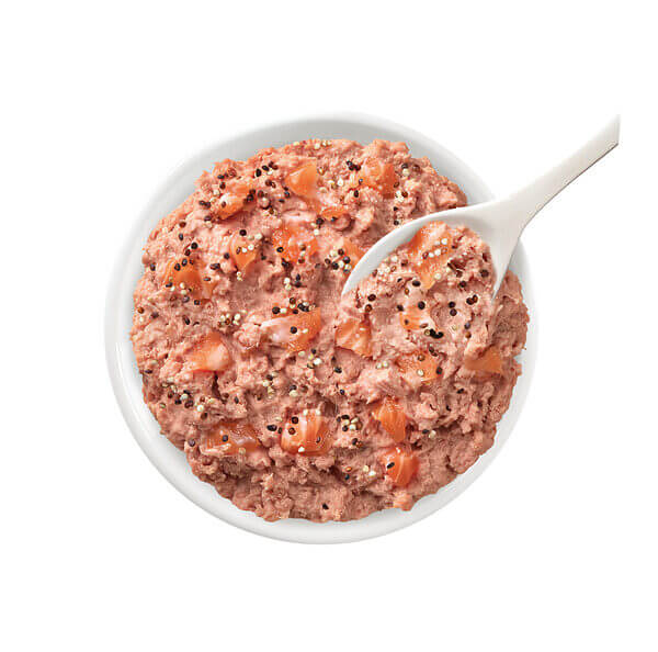 Salmone_Quinoa_Piatto