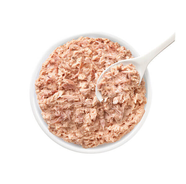 Tonno_Olio Cocco_Piatto