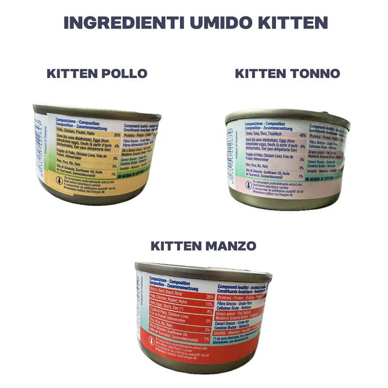 BOX MISTO UMIDO/SECCO KITTEN - immagine 2