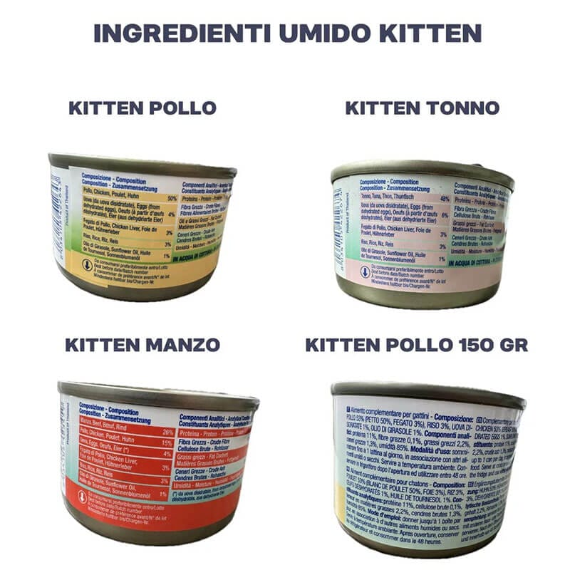 BOX UMIDO KITTEN - MISTO - immagine 2