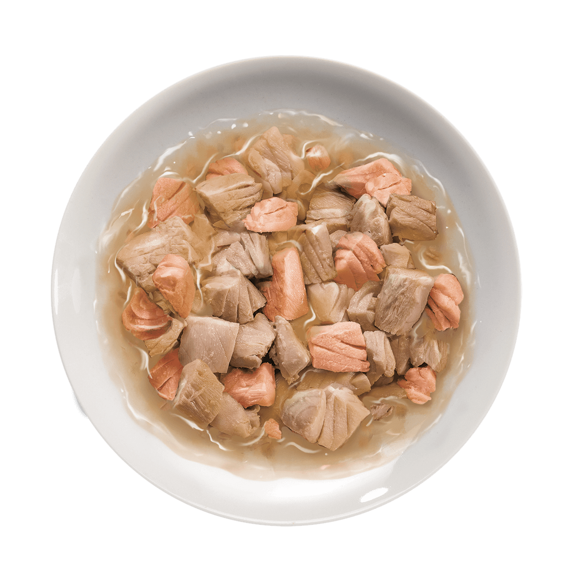 TONNO SALMONEpiattodef