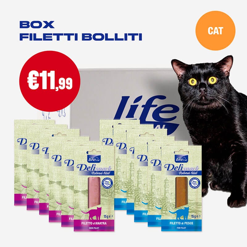 BOX FILETTI BOLLITI - 12 CONFEZIONI