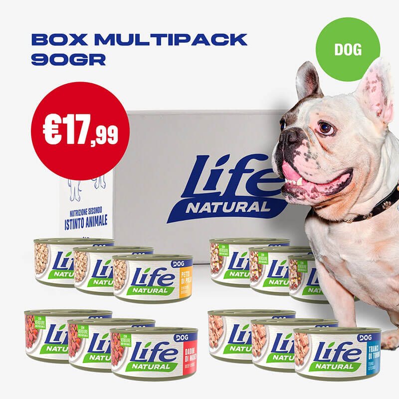 BOX 90 GRAMMI - 12 LATTINE DA 90 GR - immagine 3