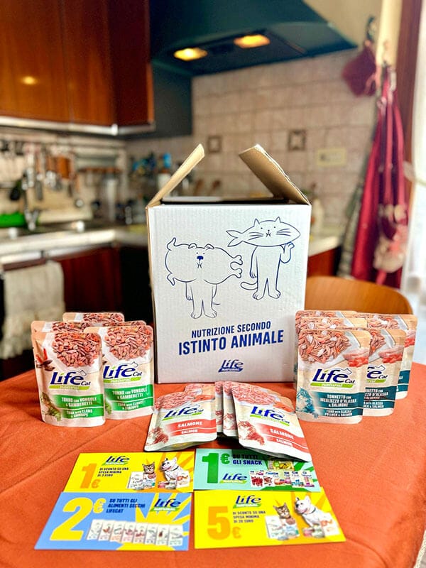 BOX BUSTE - 15 BUSTE DA 70 GRAMMI - immagine 4