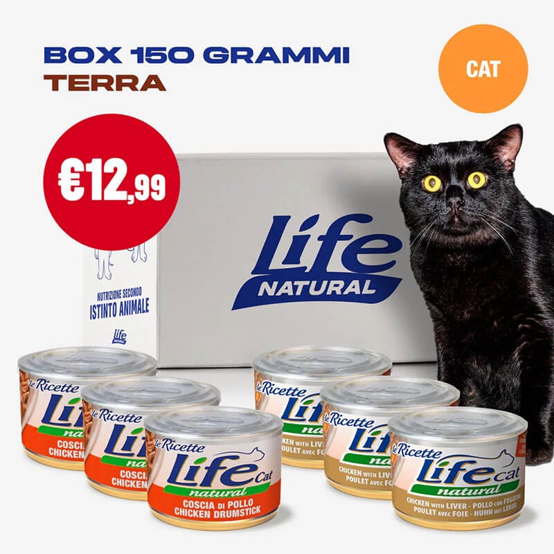 BOX "LE RICETTE" - 6 LATTINE DA 150 GRAMMI - immagine 2