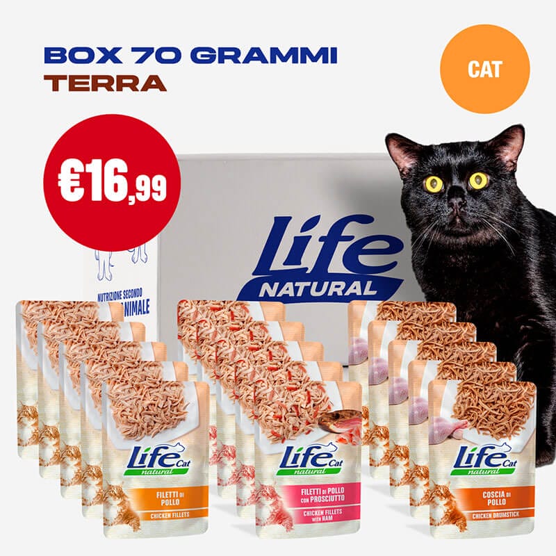 BOX BUSTE - 15 BUSTE DA 70 GRAMMI - immagine 2