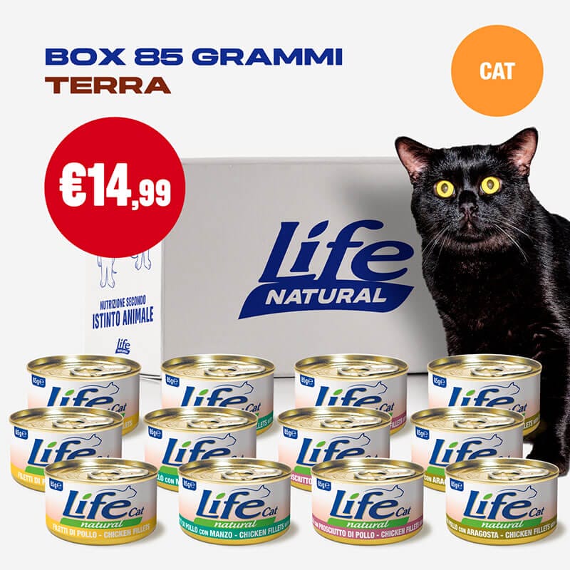 BOX 85 GR - 12 LATTINE - immagine 2