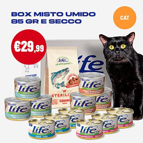 BOX MISTO UMIDO/SECCO GATTO