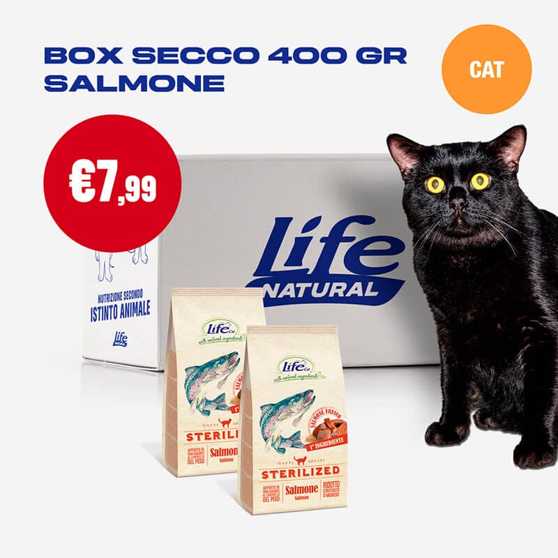 BOX SECCO GATTO - 2 CONFEZIONI DA 400 GR