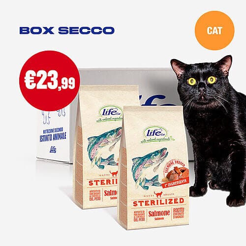 BOX SECCO GATTO - 2 CONFEZIONI DA 1,5 KG