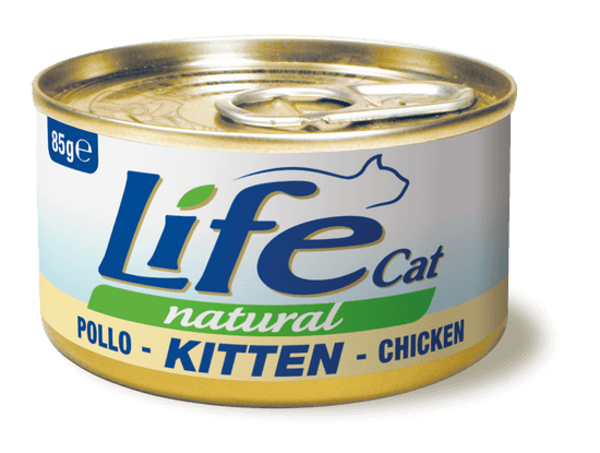 cat_kitten_pollo
