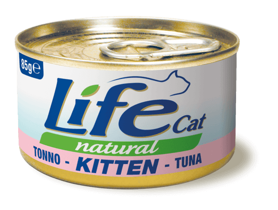 cat_kitten_tonno