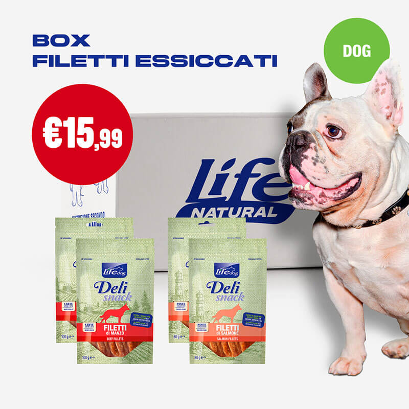 BOX FILETTI ESSICCATI - 4 CONFEZIONI