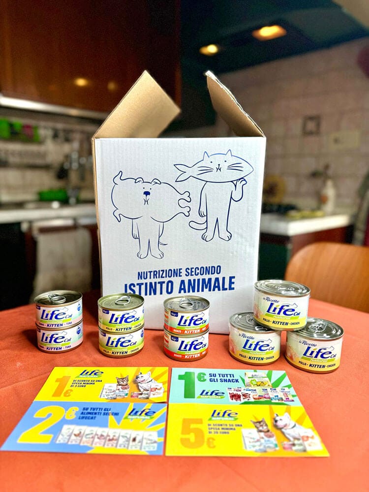 BOX UMIDO KITTEN - MISTO - immagine 4