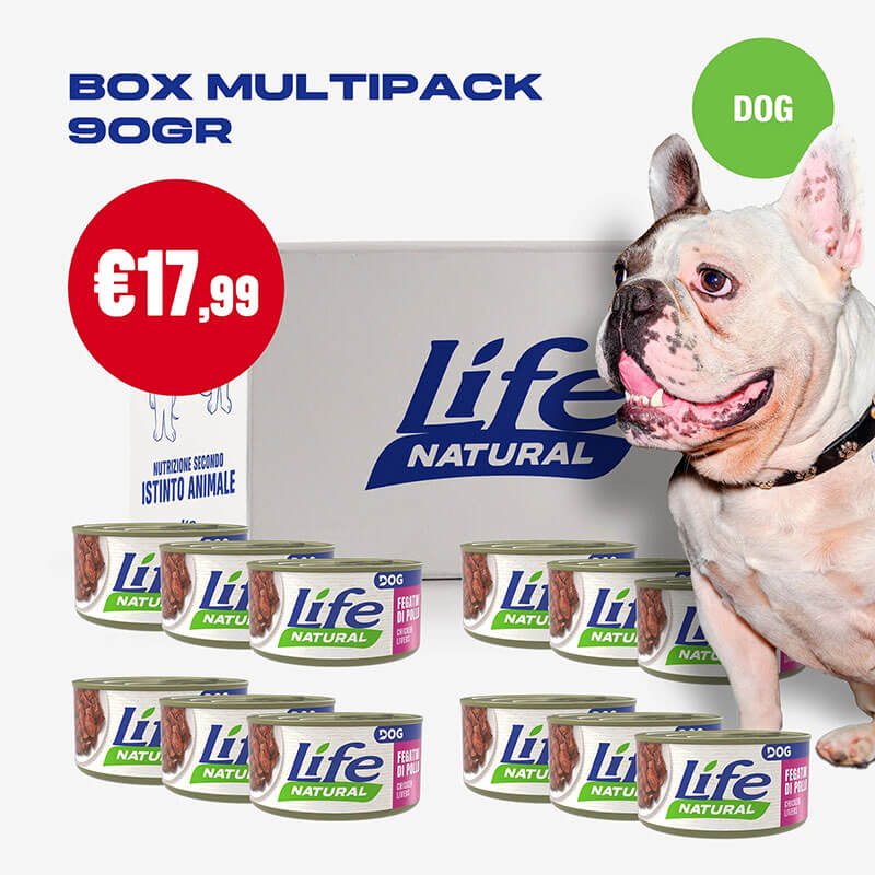 BOX 90 GRAMMI - 12 LATTINE DA 90 GR - immagine 2