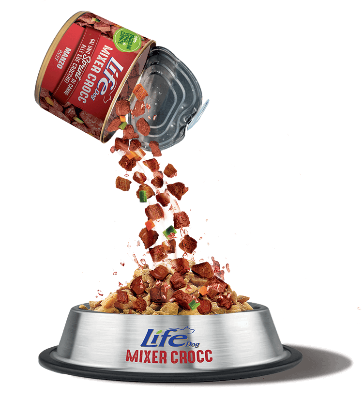 poured_beef_mixer_crocc