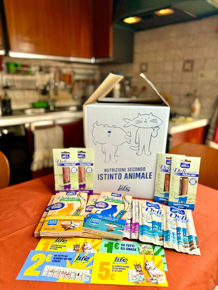 BOX SNACK - GATTO - immagine 3
