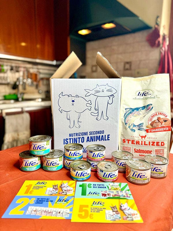 BOX MISTO UMIDO/SECCO GATTO - immagine 3