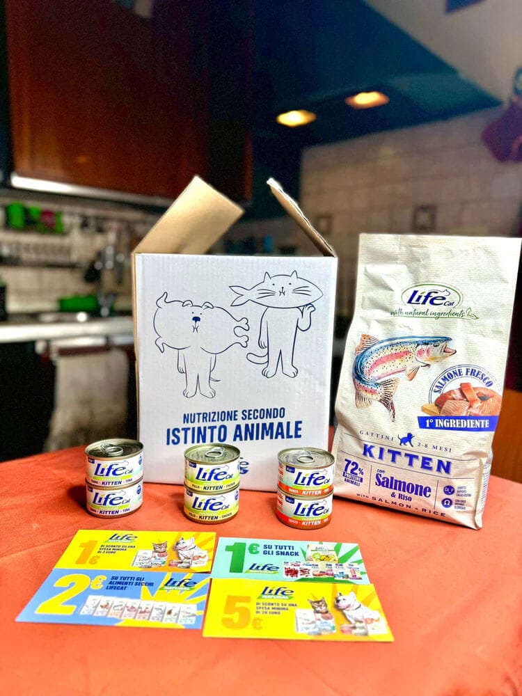 BOX MISTO UMIDO/SECCO KITTEN - immagine 4