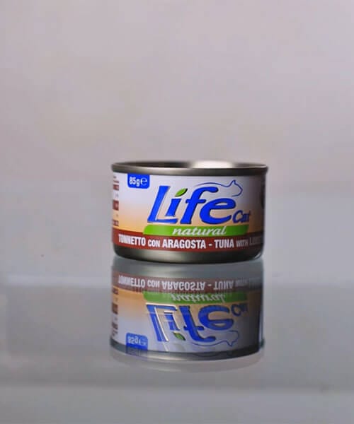 BOX 85 GR - 12 LATTINE - immagine 3