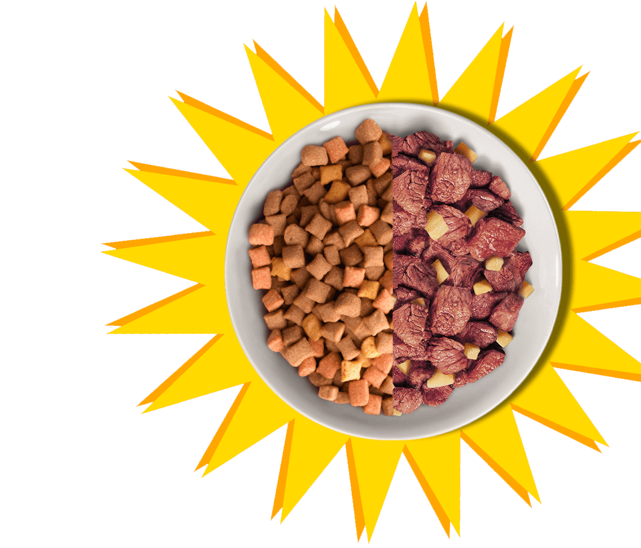 mix-feeding-e1725952697449